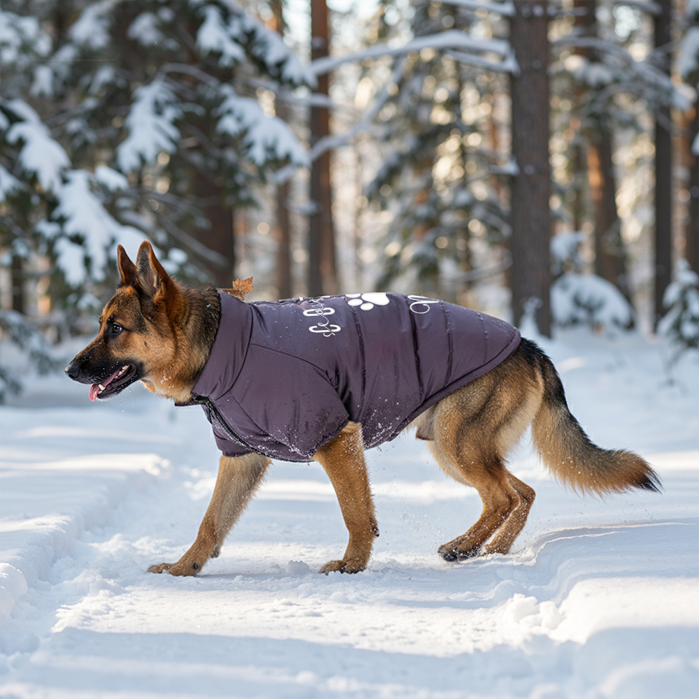 Personalized Pet Winter Warm Windproof Large Puffer Jacket | BKPet279
