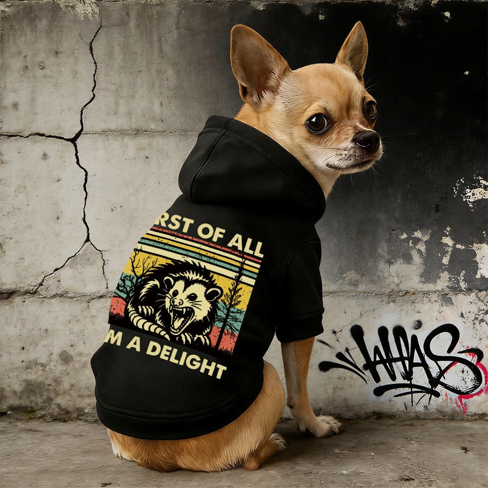 FIRST OF ALL I'M A DELIGHT Puppy Hoodie | BKPet331