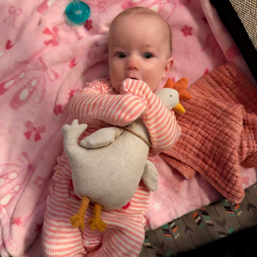 Personalized Nordic Cotton Soft Baby Safe Animal Toy | CWToy174