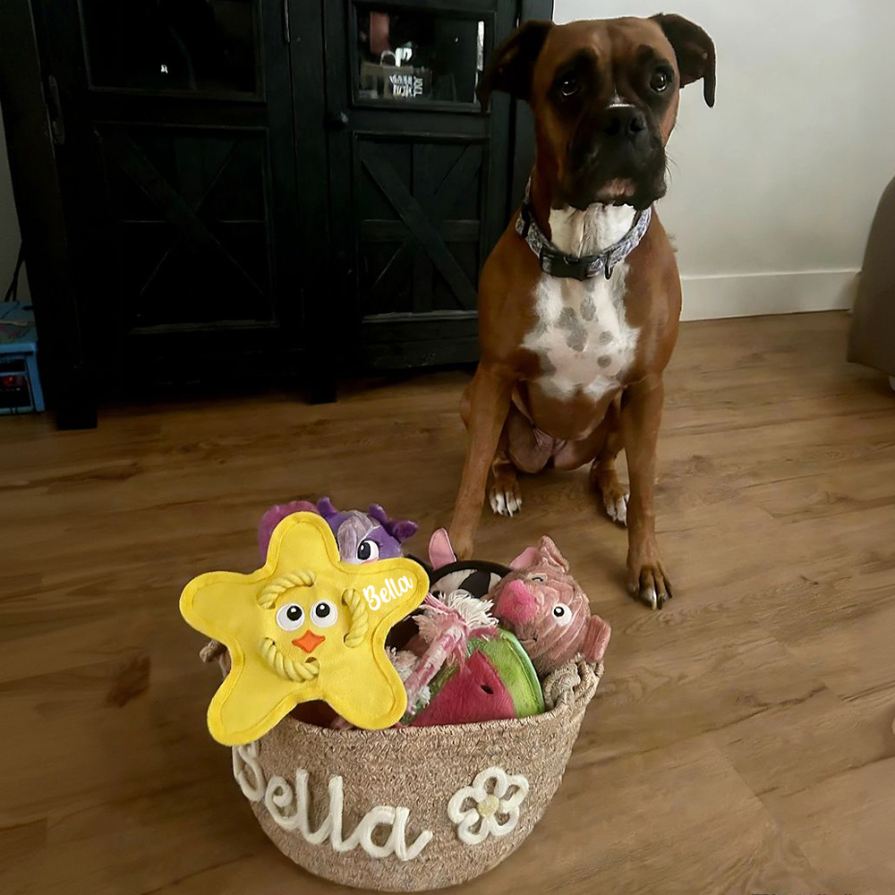 Personalized Star Flying Disc Squeaky Dog Toy | BKPet386