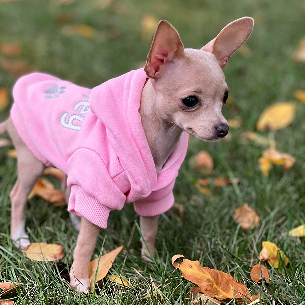 Personalized Embroidered Pet Comfortable Soft Hoodie | BKPet419