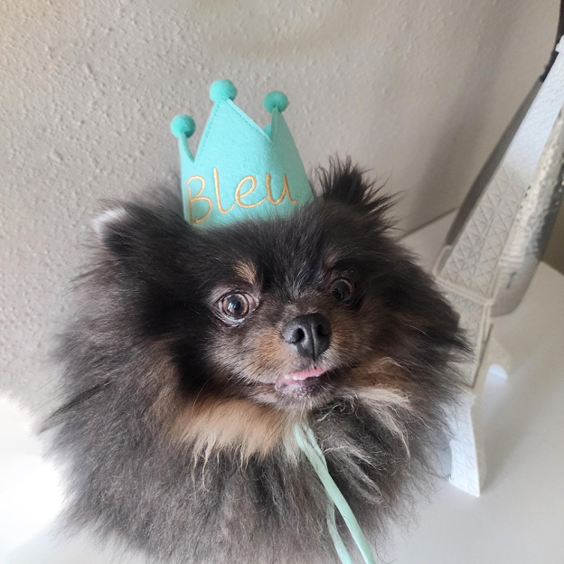 Personalized Embroidered Pet Felt Birthday Crown | BKPet443