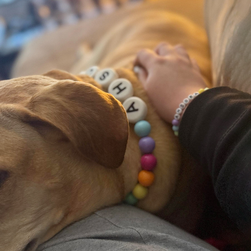 Personalized Handmade Matching Pet Necklace & Owner Bracelet | BKPet456