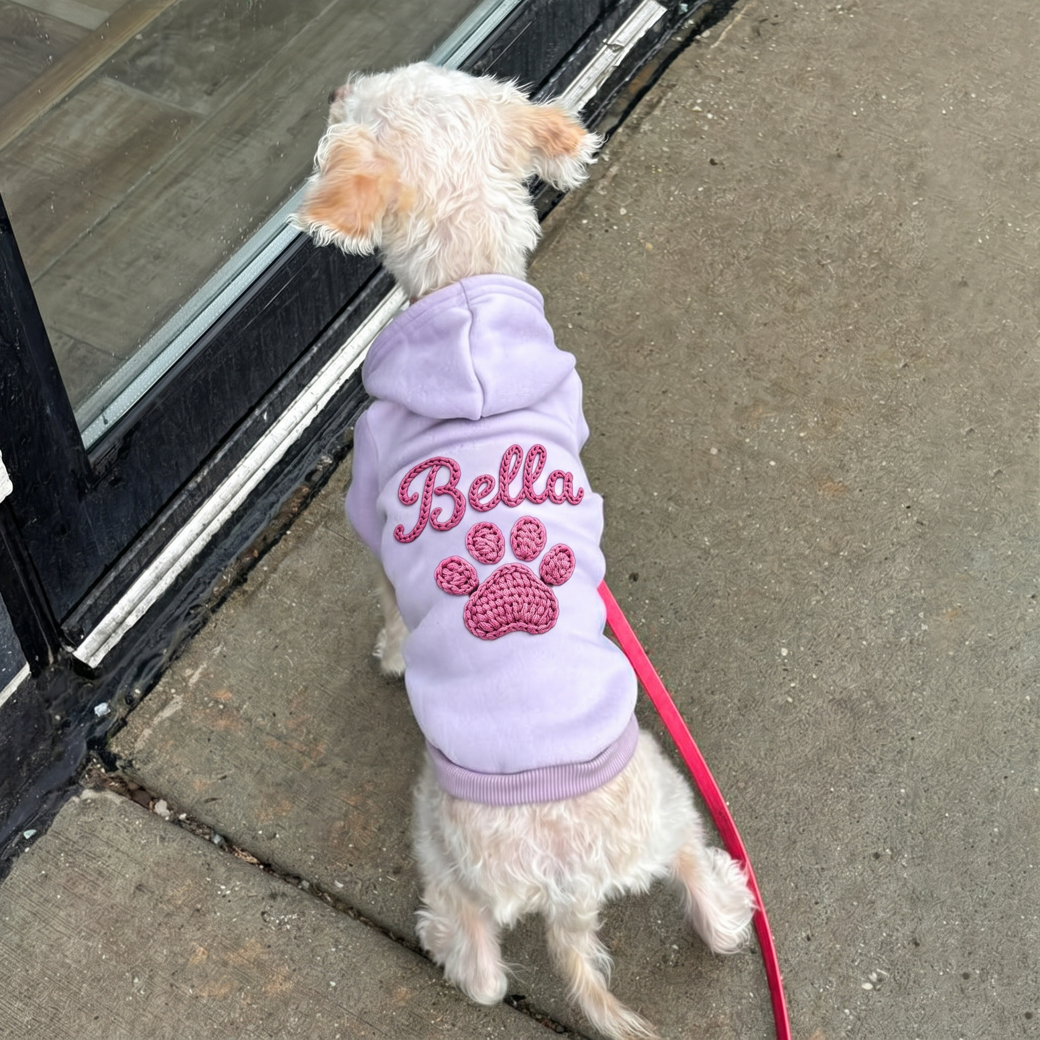 Personalized Hand Embroidery Lovely Paw Large Size Puppy Hoodie | BKPet512