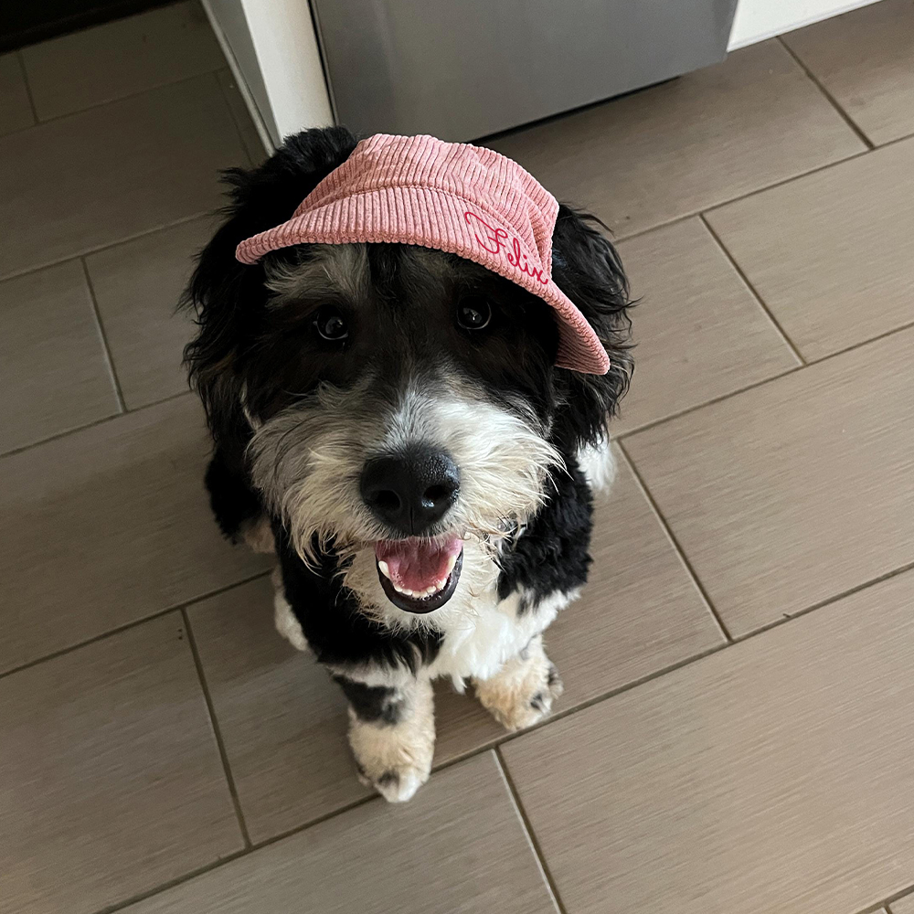Personalized Corduroy Adjustable Pet Pet Baseball Cap | BKPet184