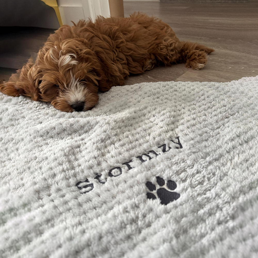 Personalized Embroidered Pet Soft Waffle Blanket | BKPet197