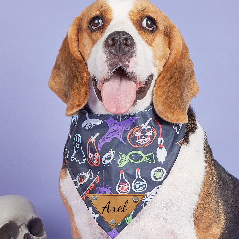 Personalized Halloween Dog Bandana for Comfort & Unique | CWHalloween57