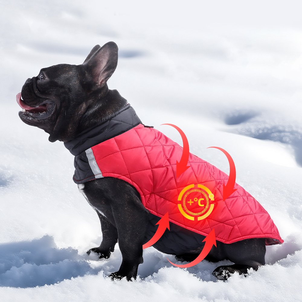 Personalized Pets Reversible Warm Chalet Jacket | BKPet208