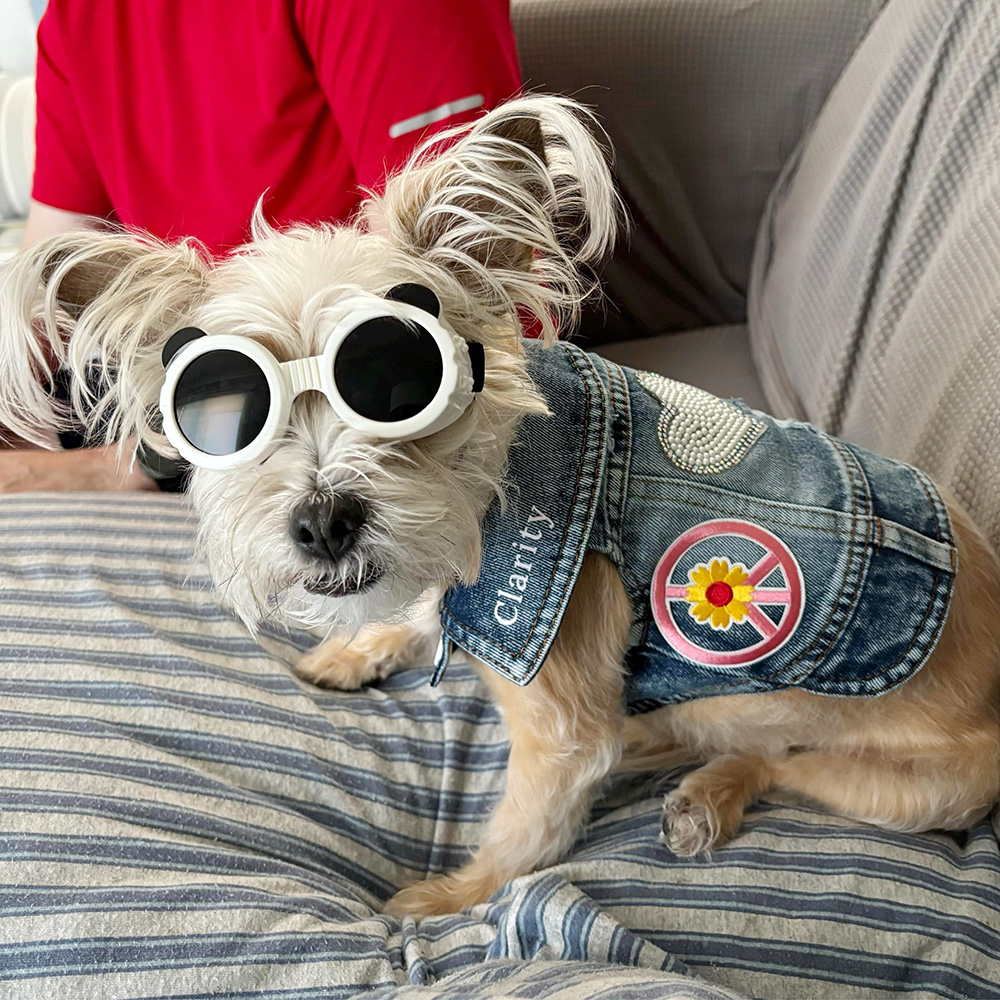 Personalized Hand Patch Pets Denim Jacket for Comfort and Unique | BKPet262