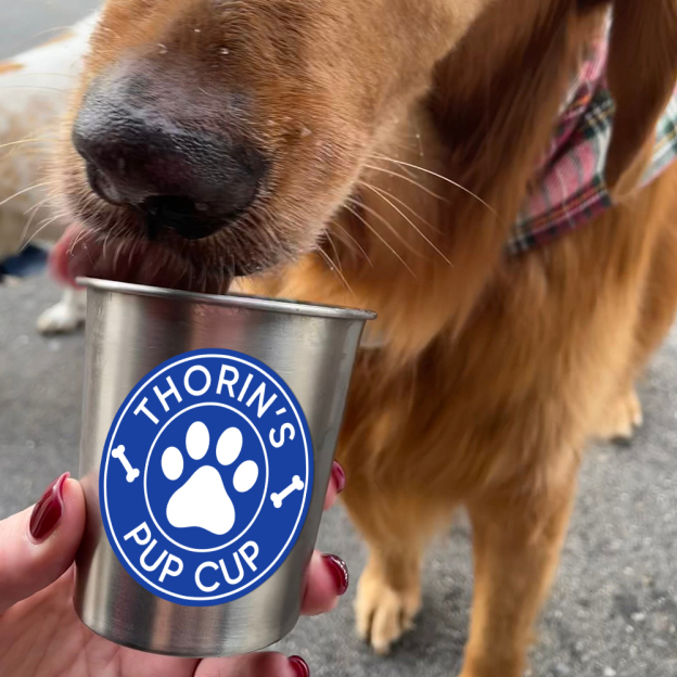 Personalized Pet Stainless Steel Reusable Pup Cup Mug | BKPet26301