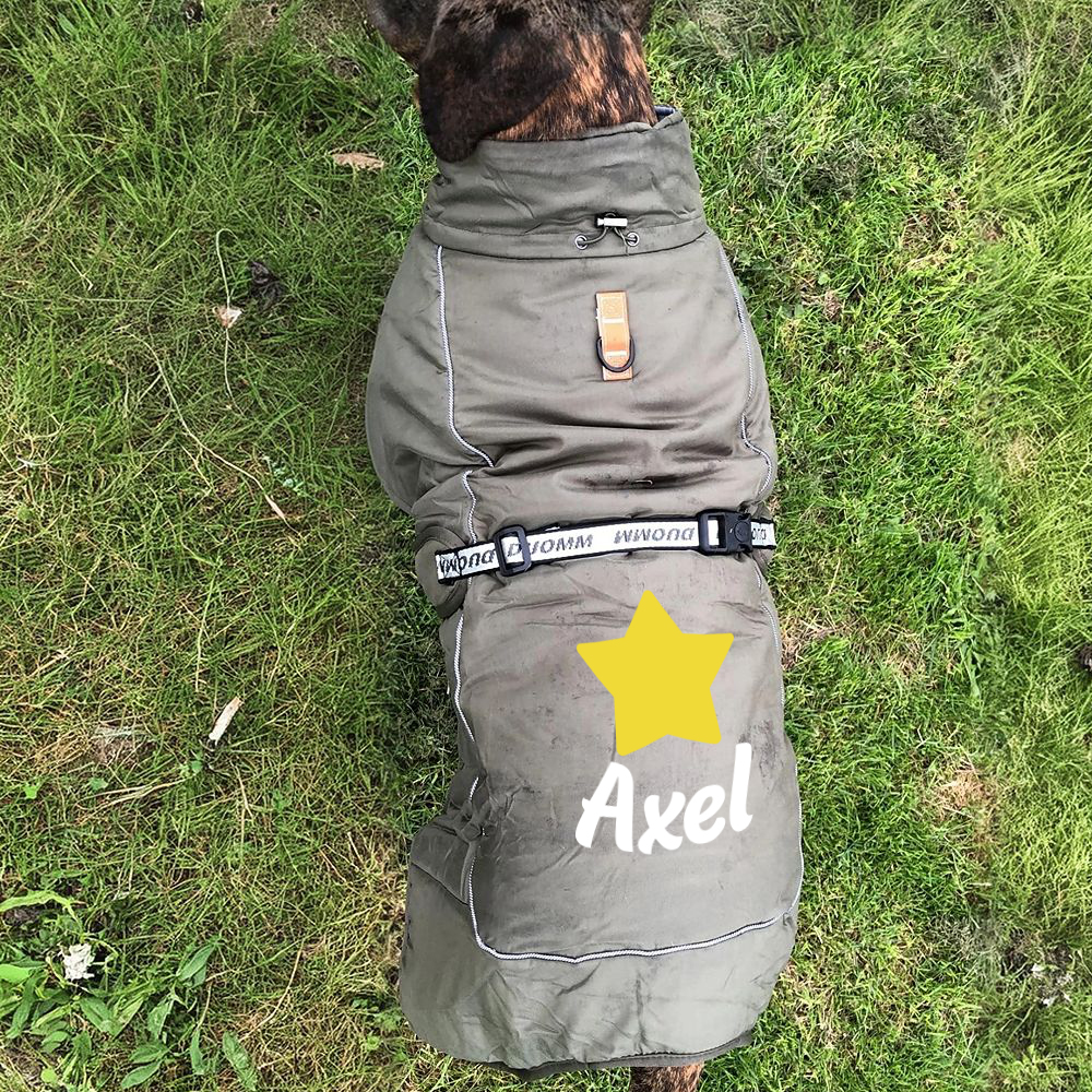 Personalized Pet Winter Warm Reflective Safety Puffer Vest | BKPet302
