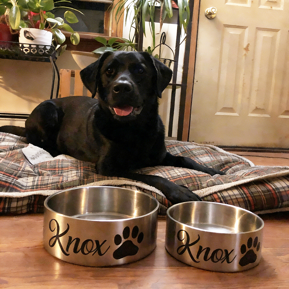Personalized Pet Stainless Steel Anti-slip Thickened Food Bowl | BKPet369