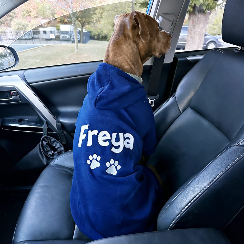 Personalized Embroidered Pet Comfortable Soft Hoodie | BKPet419