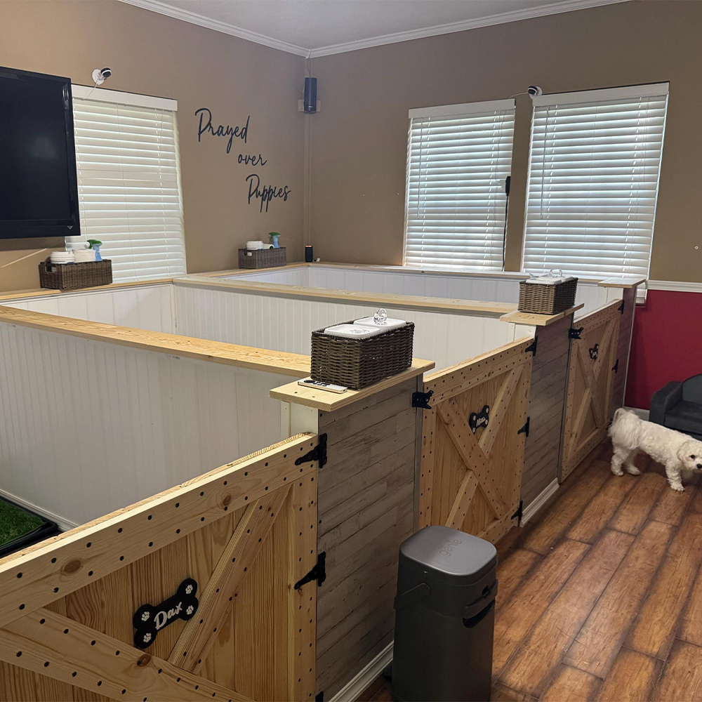 Personalized Dog Paw Name Crate Sign | BKPet426