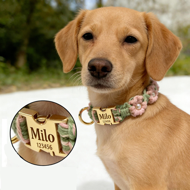Personalized Handmade Macrame Flowers Pet Collar | BKPet457