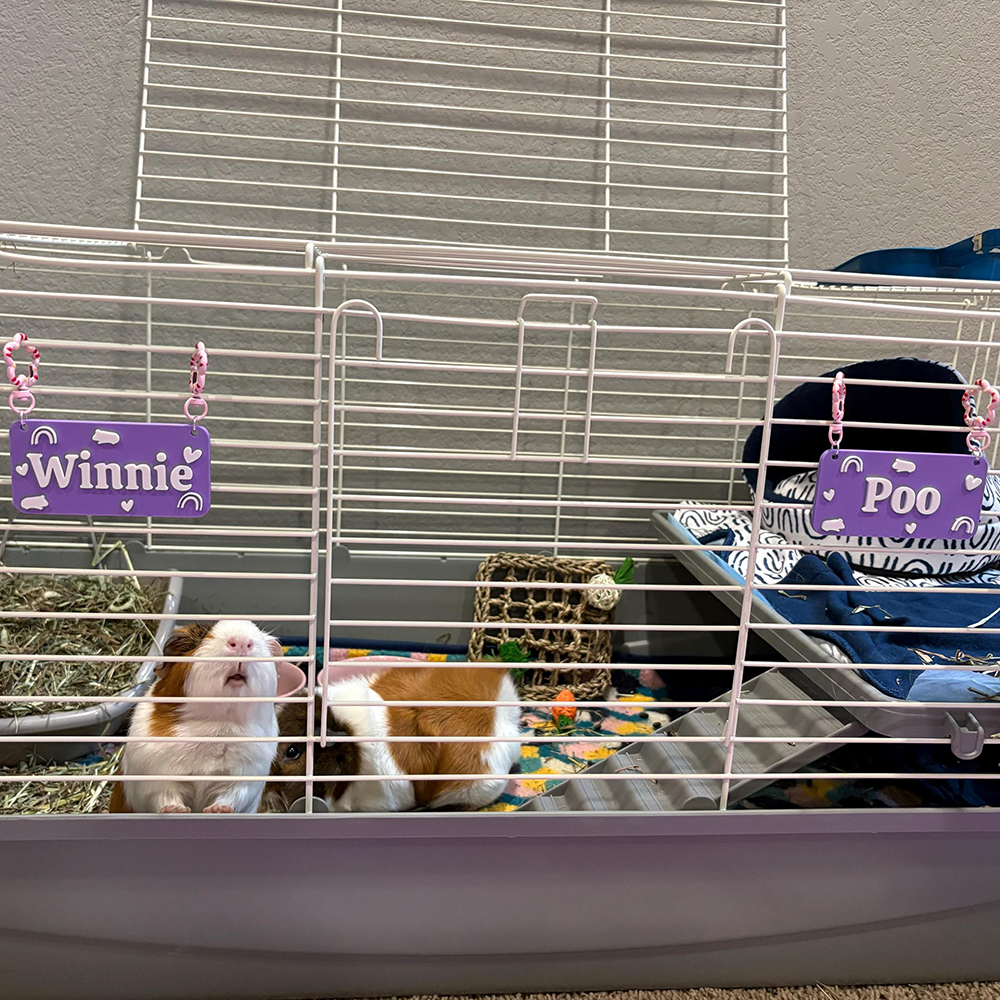 Personalized 3D Printed Pet Cage Name Tag | BKPet510