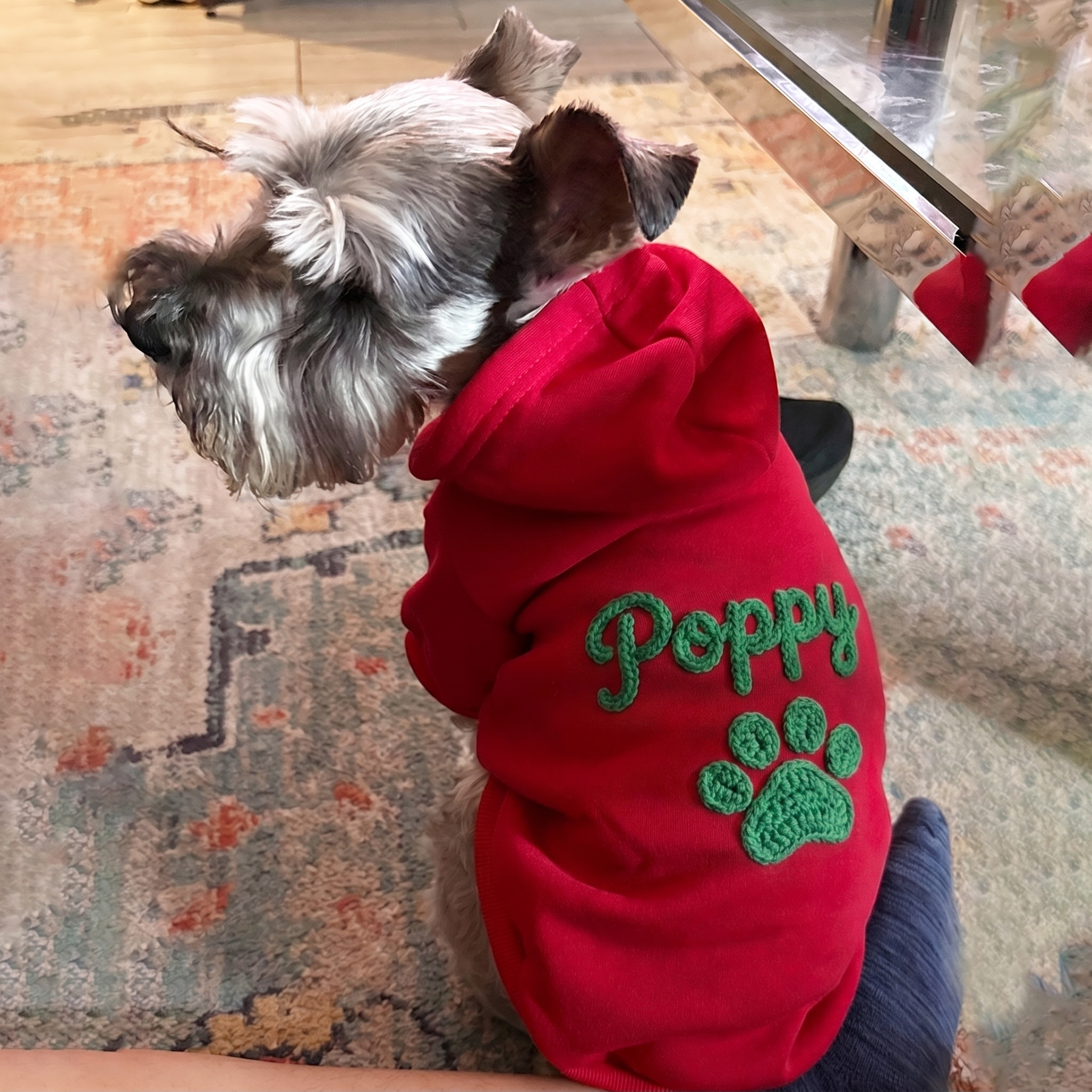 Personalized Hand Embroidery Lovely Paw Large Size Puppy Hoodie | BKPet512