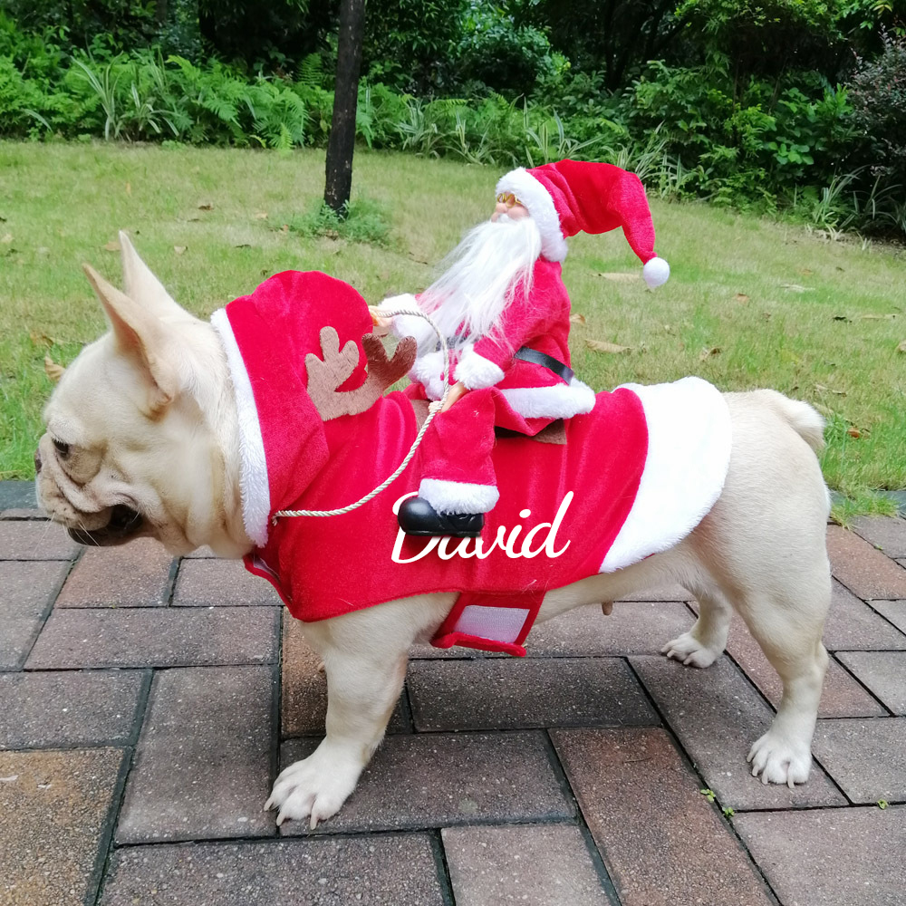 Personalized Christmas Santa Pet Riding Clothes | BKPet96