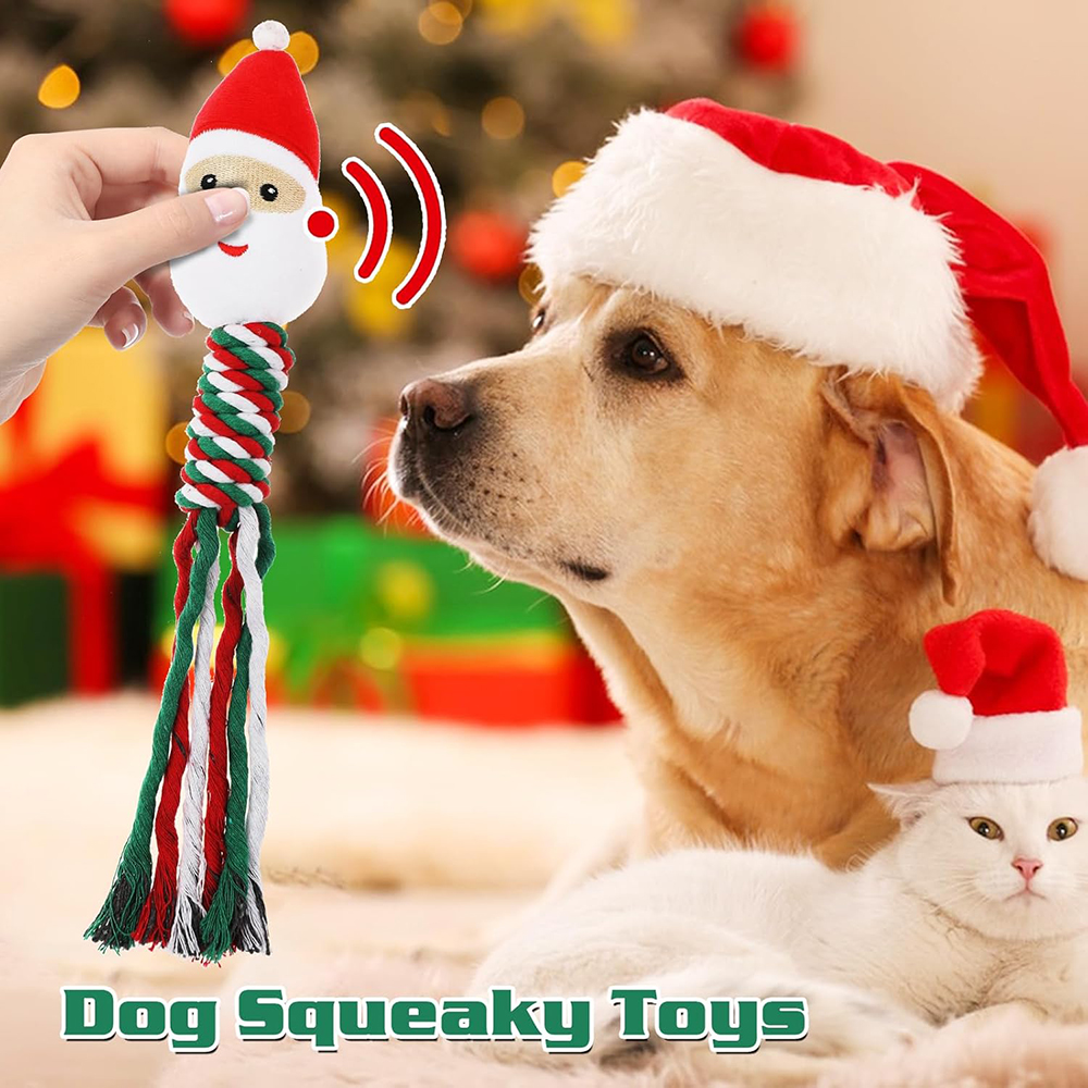 Personalized Christmas Pet Squeaky Chew Toy | MCGift111