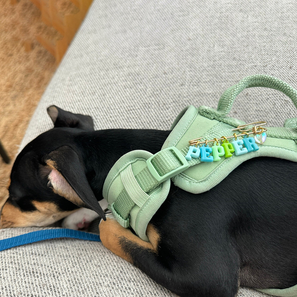 Personalized Colorful Letter Badge Safety Pin | CWToy132