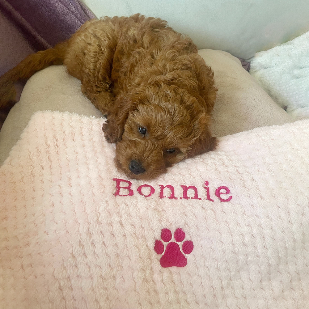 Personalized Embroidered Pet Soft Waffle Blanket | BKPet197