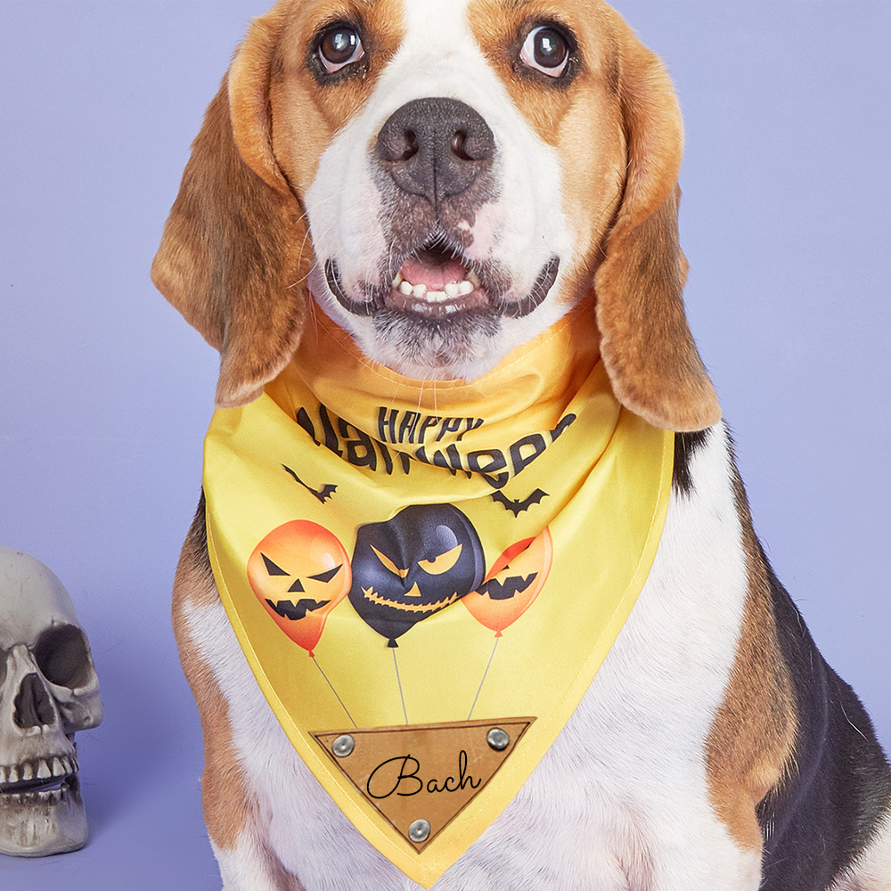 Personalized Halloween Dog Bandana for Comfort & Unique | CWHalloween57