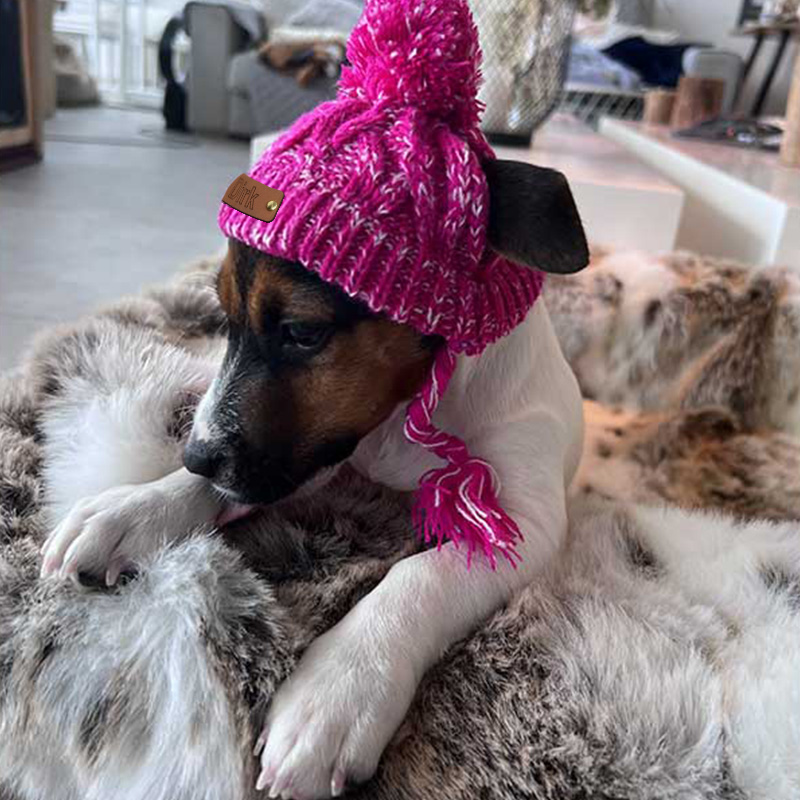 Personalized Pets Leather Patch Knitted Hat | BKPet215