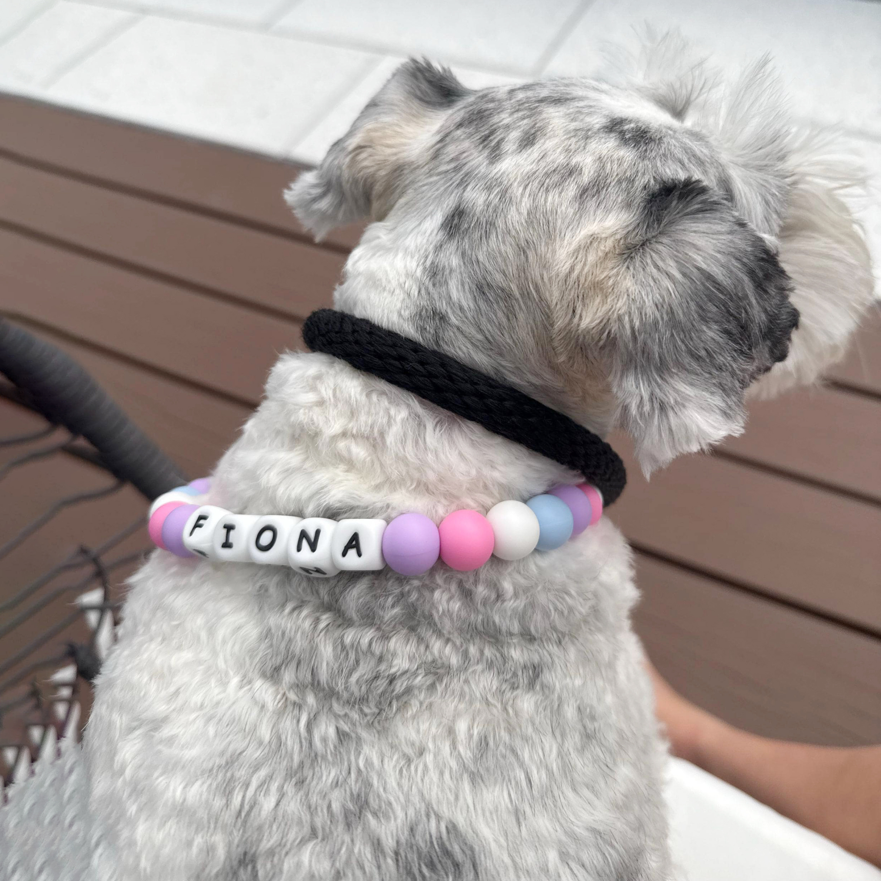 Personalized Handmade Beaded Adjustable Buckle Dog Collar | BKPet221
