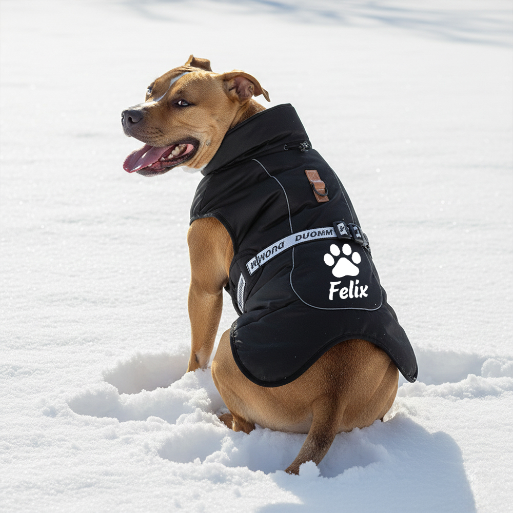 Personalized Pet Winter Warm Reflective Safety Puffer Vest | BKPet302