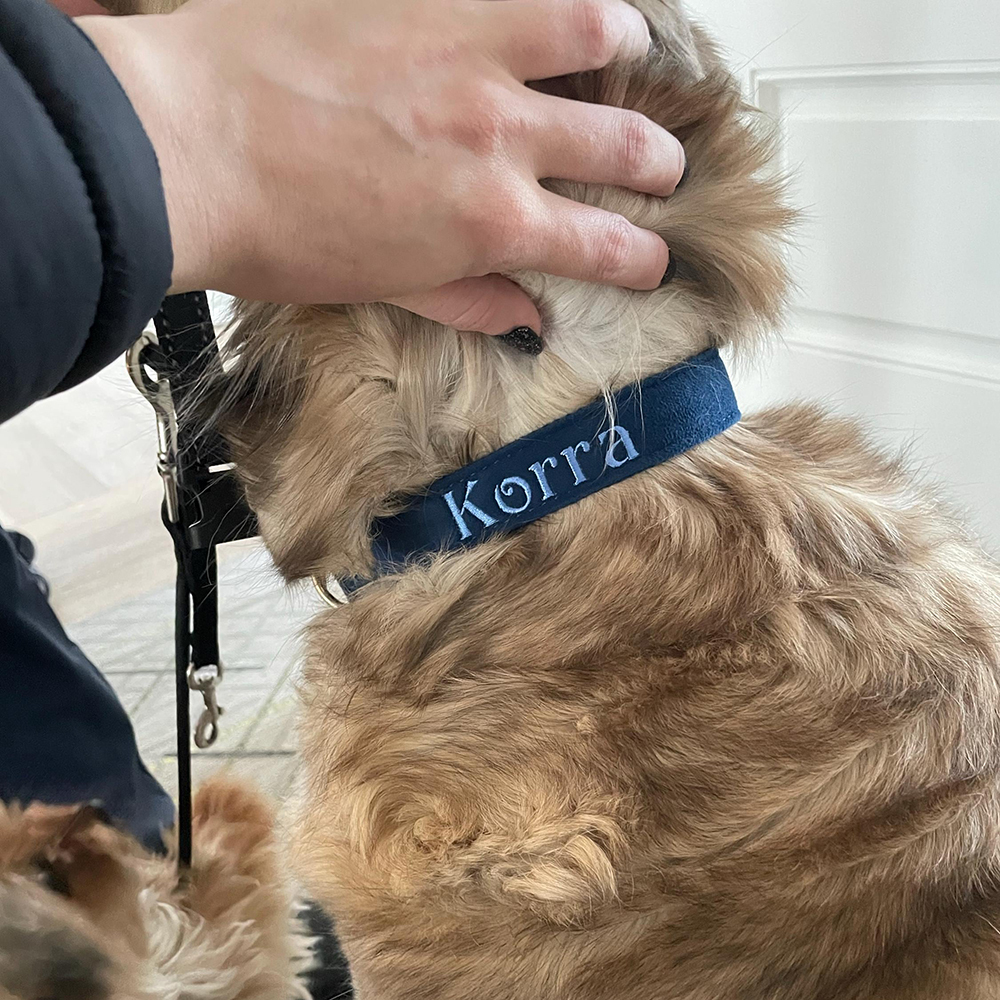 Personalized Embroidered Adjustable Velvet Pet Collar | BKPet425