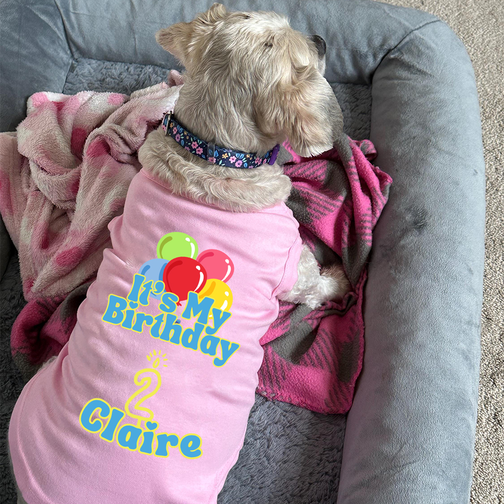 Personalized It’s My Birthday Pet Shirt | BKPet449