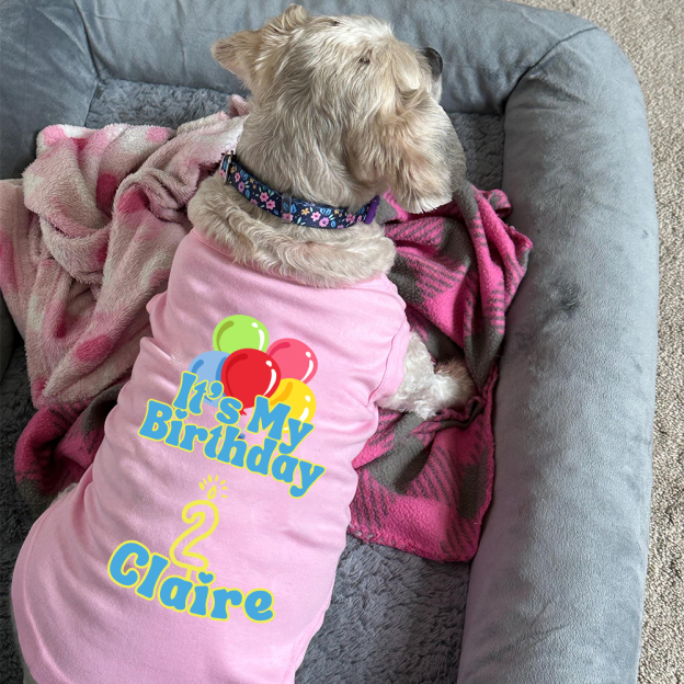 Personalized It’s My Birthday Pet Shirt | BKPet449