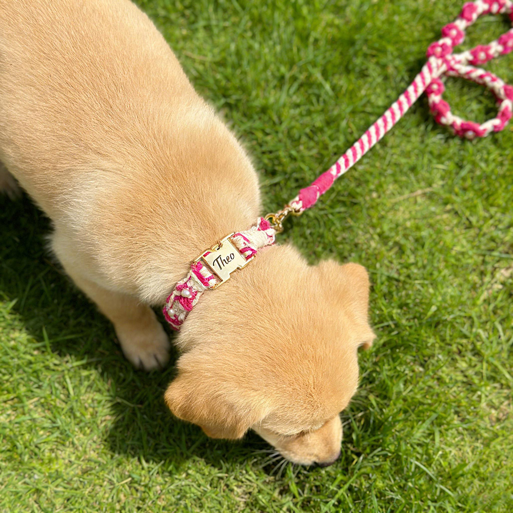 Personalized Handmade Macrame Flowers Pet Collar | BKPet457