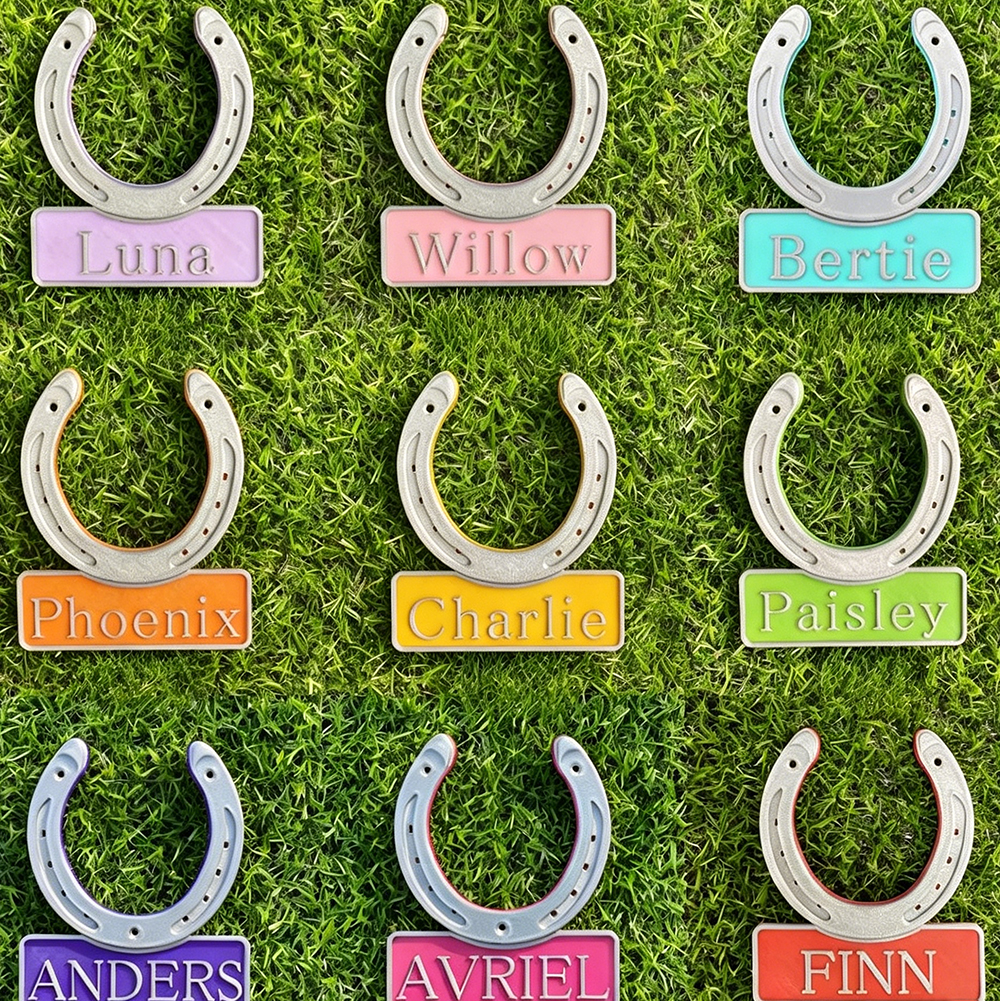 Personalized 3D Horseshoe Stable Door Name Plate | CWGift72