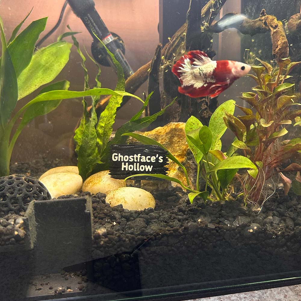 Personalized 3D Printed Forest Sign for Fishtanks | CWGift92