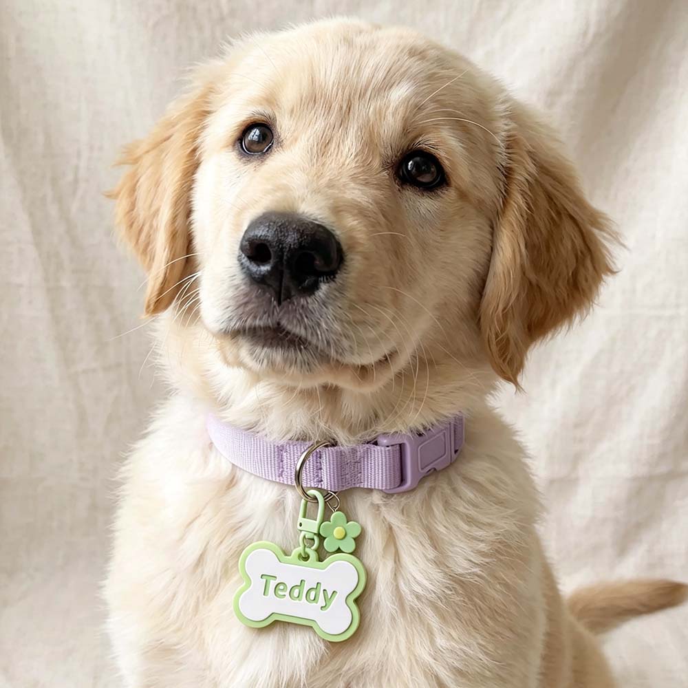 Personalized 3D Printed Bone-Shaped Pets ID Tag | BKPet574