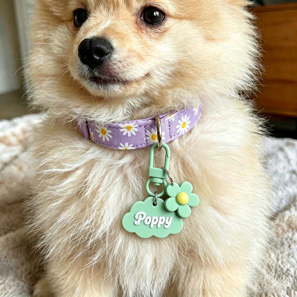 Personalized 3D Printed Pets ID Tag | BKPet575