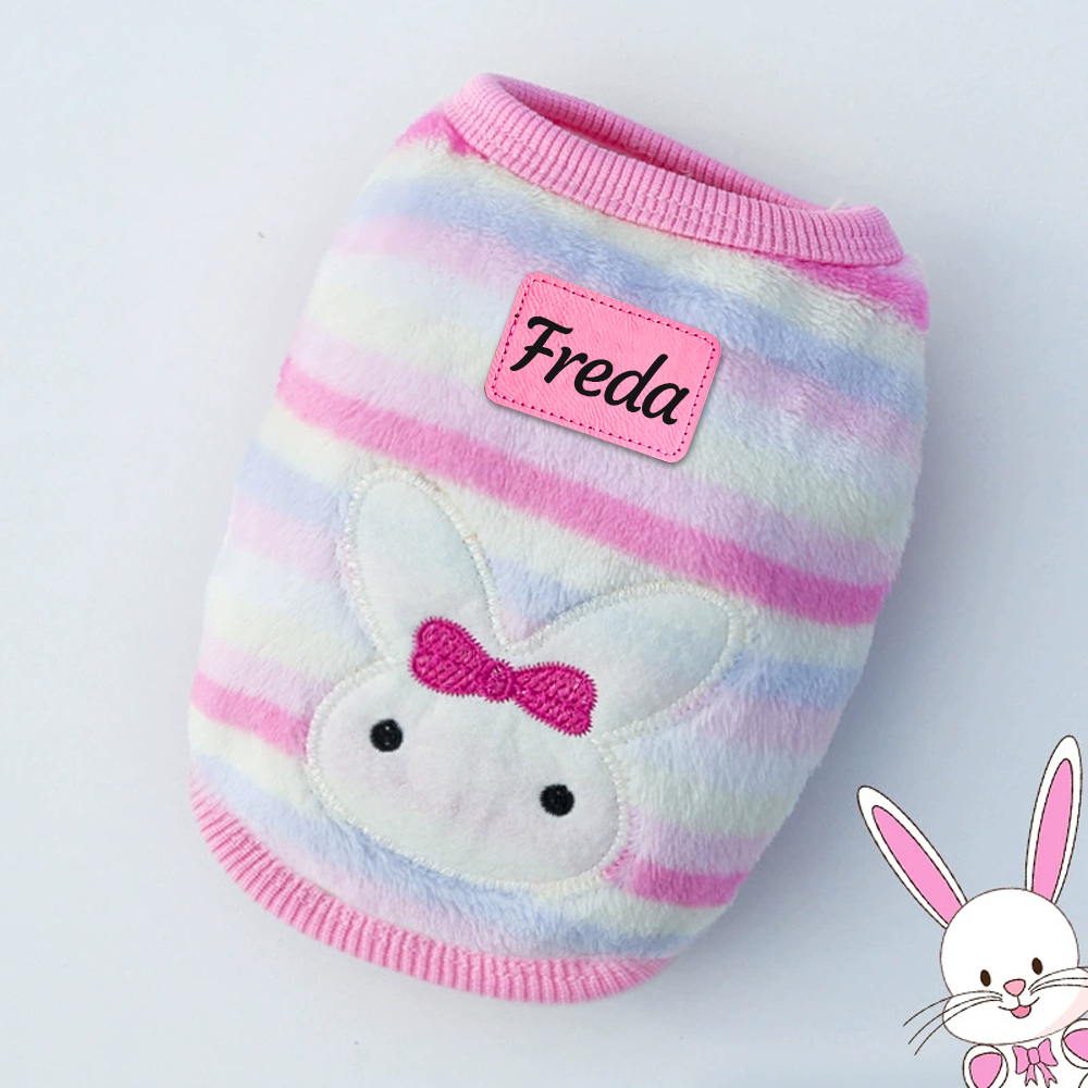 Personalized Cute Pet Soft Plush Fleece Vest | BKPet194