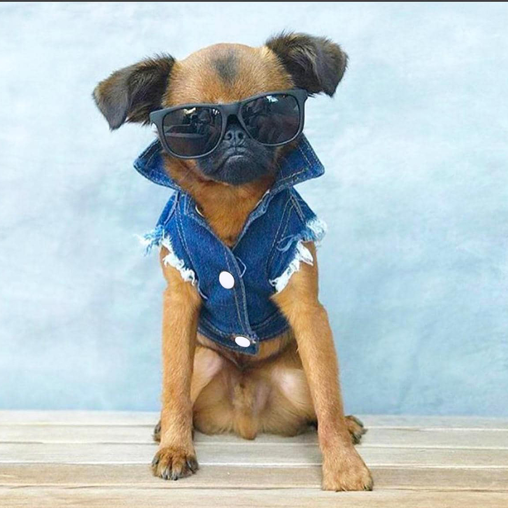 Personalized Handmade Pearl Patch Pets Denim Jacket | BKPet219