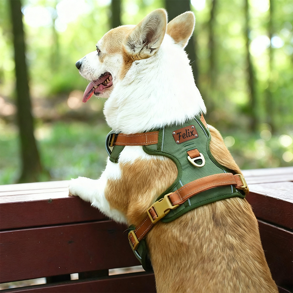 Personalized Night Reflective Luxury Puppy Harness | BKPet237