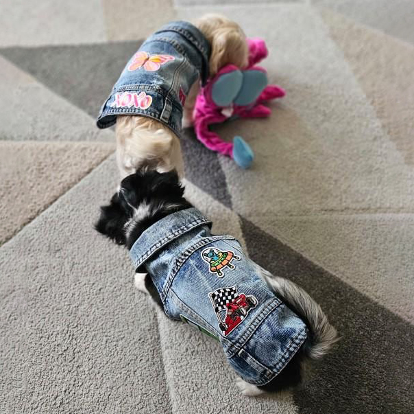 Personalized Hand Patch Pets Denim Jacket for Comfort and Unique | BKPet262