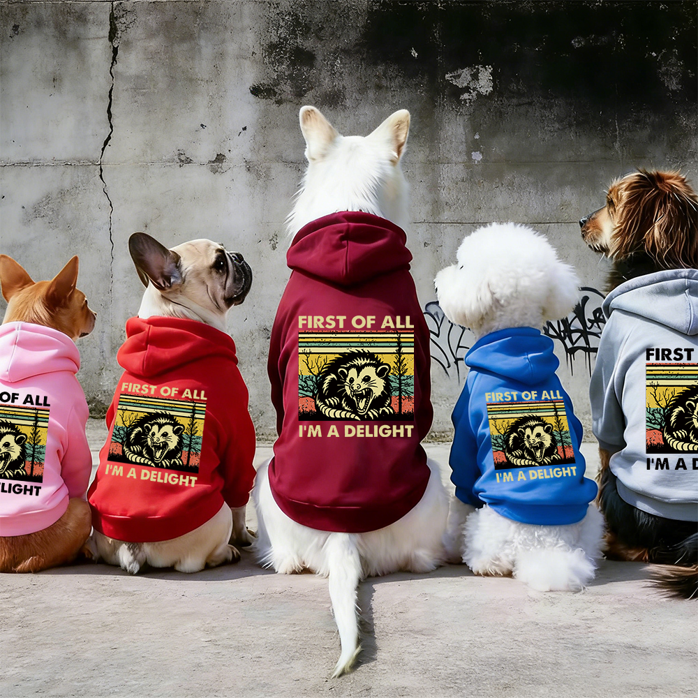 FIRST OF ALL I'M A DELIGHT Puppy Hoodie | BKPet331