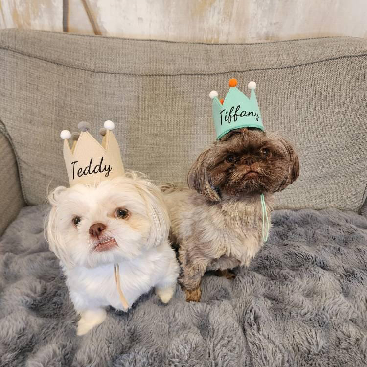Personalized Embroidered Pet Felt Birthday Crown | BKPet443