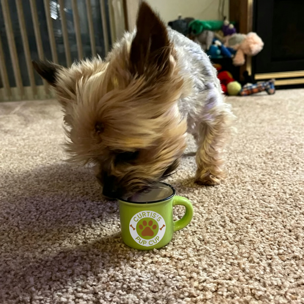 Personalized Pet Reusable Pup Cup Mug  | BKPet543