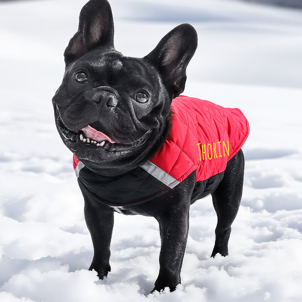Personalized Pets Reversible Warm Chalet Jacket | BKPet208