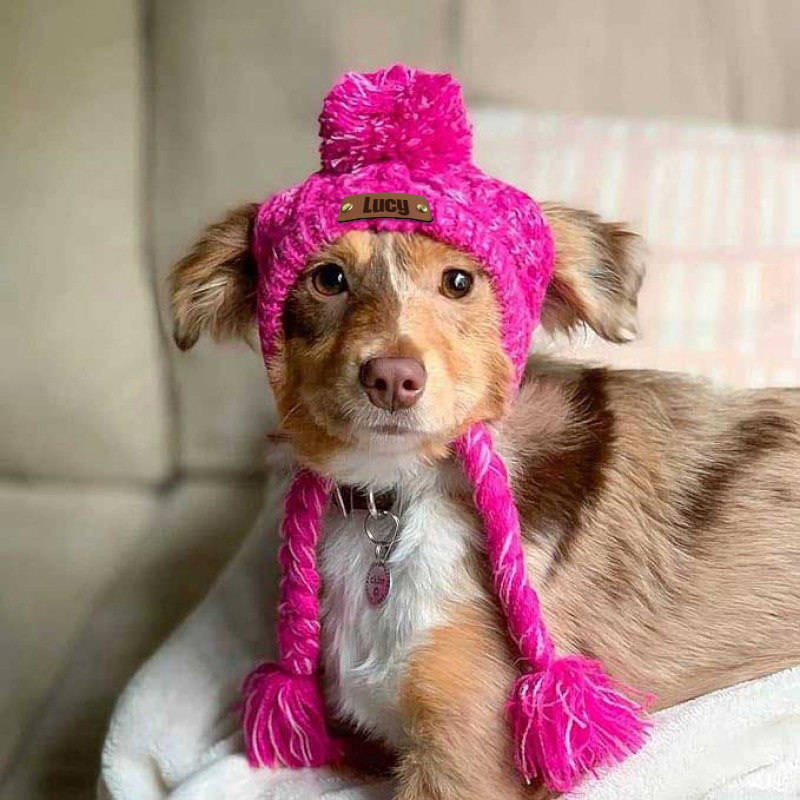 Personalized Pets Leather Patch Knitted Hat | BKPet215