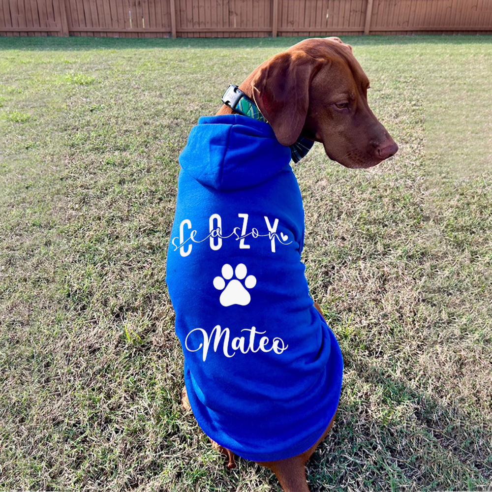Personalized Cozy Season Warm Puppy Hoodie | BKPet282
