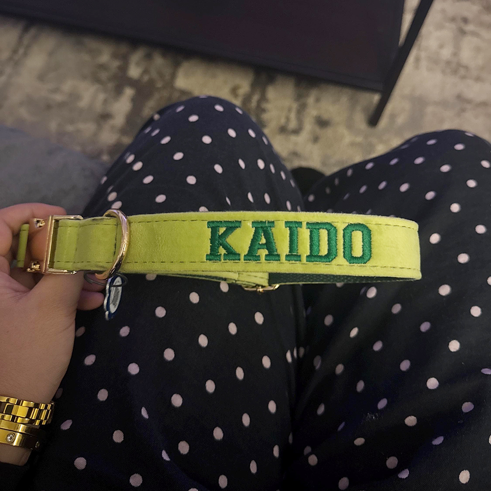 Personalized Embroidered Adjustable Velvet Pet Collar | BKPet425