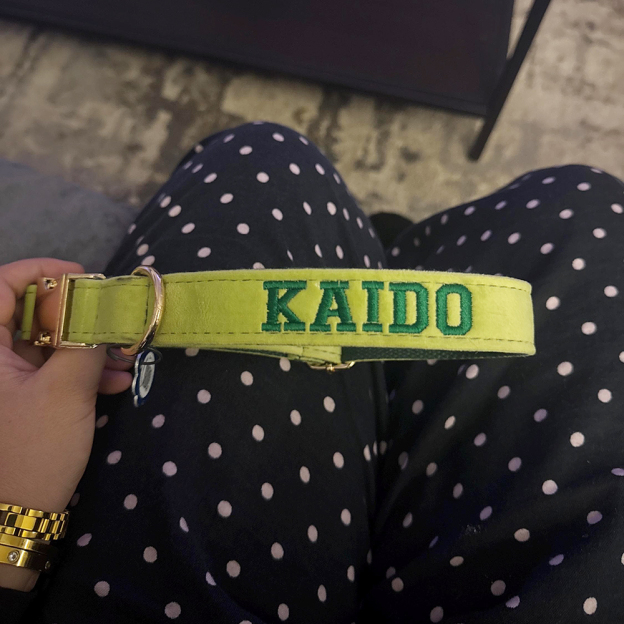 Personalized Embroidered Adjustable Velvet Pet Collar | BKPet425