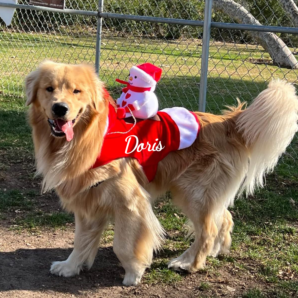 Personalized Christmas Santa Pet Riding Clothes | BKPet96